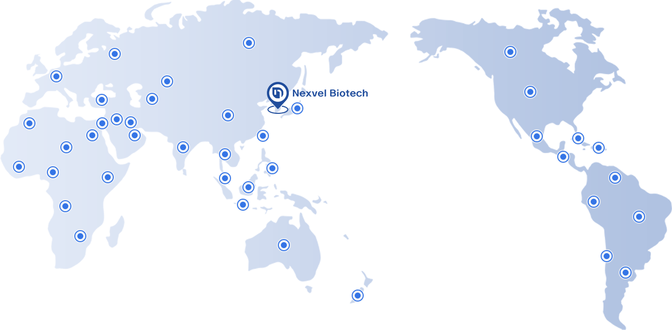 GLOBAL NETWORK